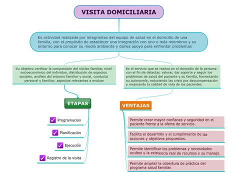 VISITA DOMICILIARIA Mind Map