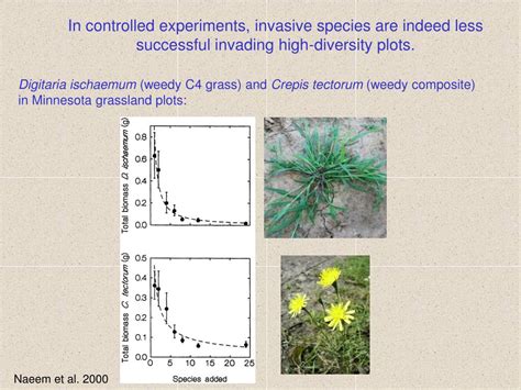 Ppt Ecological Niches Powerpoint Presentation Free Download Id 6103931