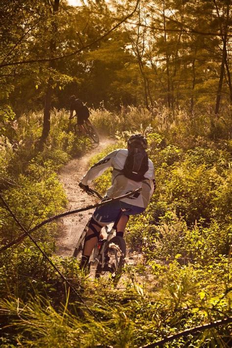 Ready to Ride? 3 Trail Selection Tips for Beginners | Mountain biking, Mountain biking gear ...