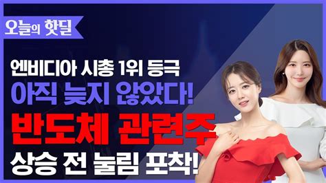 ️‍🔥 시총 1위 꿰찬 엔비디아에 반도체주 동반 랠리 그러나 아직 매수하기 늦지 않은 이것 상승전 눌림 포착 종목핫딜