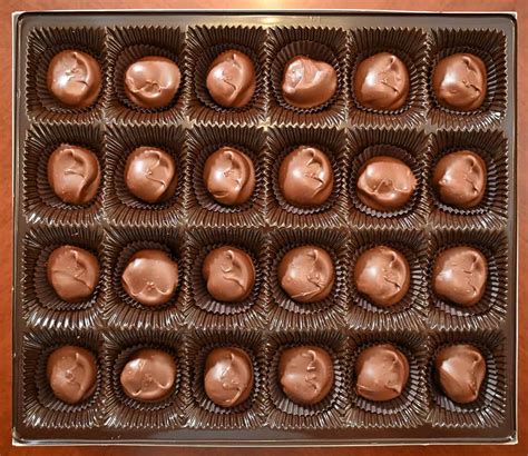 Costco Hawaiian Sun Chocolate Covered Macadamia Nuts Review Costcuisine