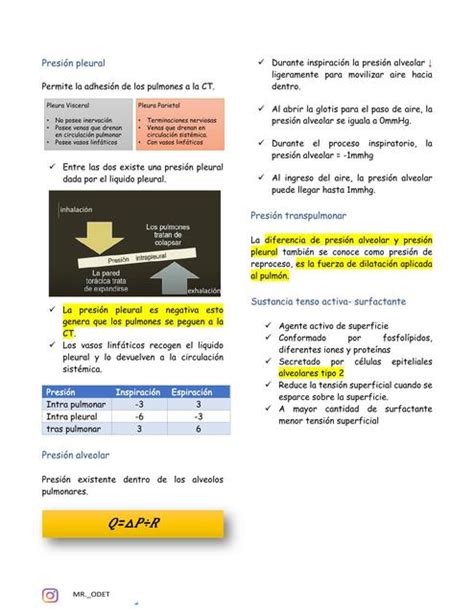 Presión Pleural Daniel Enriquez uDocz