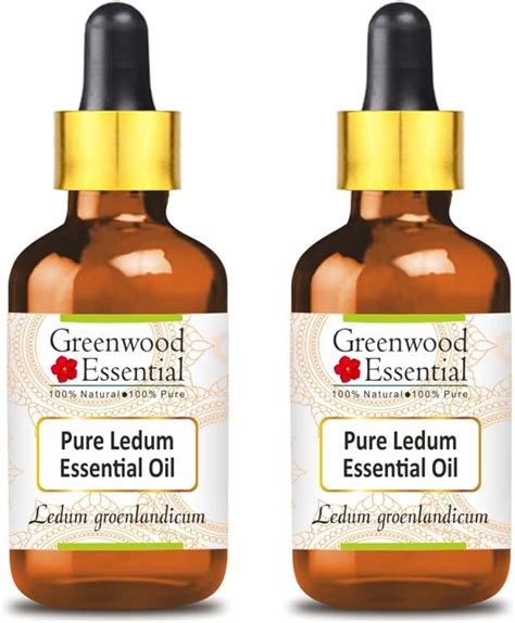 Amazon Greenwood Essential Pure Ledum Essential Oil Ledum