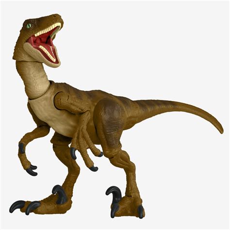 Jurassic World Hammond Collection Velociraptor Figure – Mattel Creations