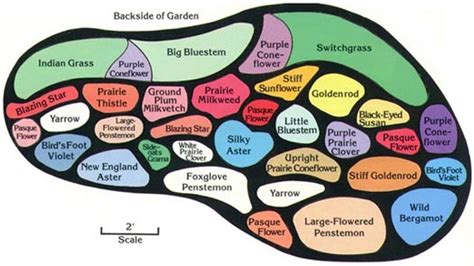 Butterfly Garden Plans