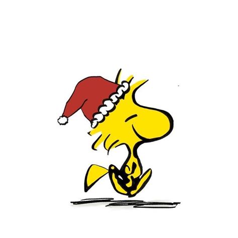 Pin By Phs On Woodstock In Snoopy Christmas Snoopy Images