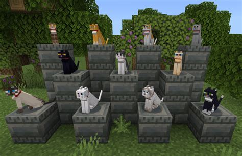 Cat – Minecraft Wiki