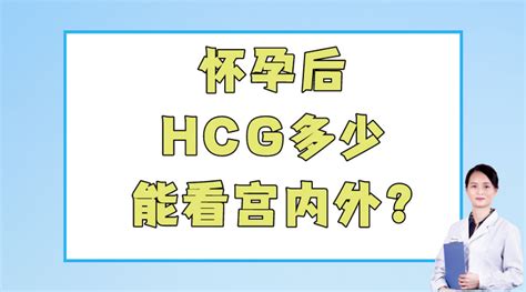 怀孕hcg多少能看宫内外 知乎