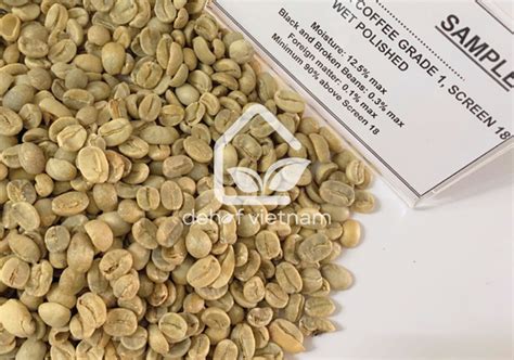 Robusta Coffee Grade Screen Wet Polished Deluxe House Of Foods