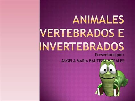 Diapositivas Del Reino Animal Ppt