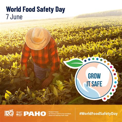 World Food Safety Day Paho Who Pan American Health Organization