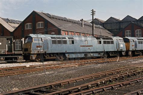 Rail Online Class 52 Western D1025 1976 Swindon Works