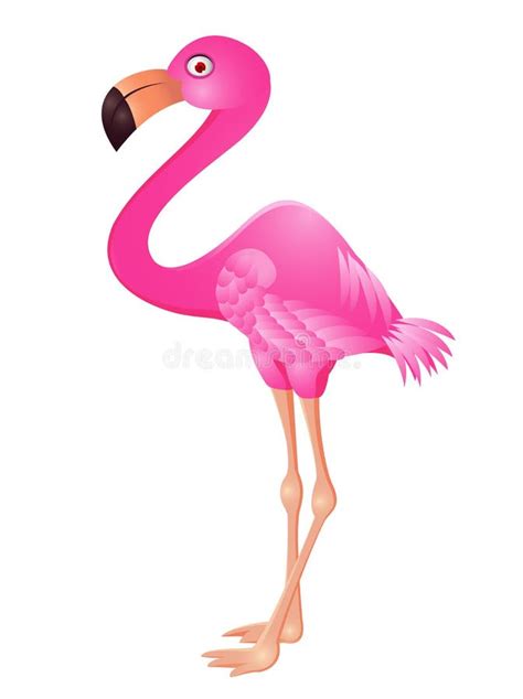 Desenhos Animados Engra Ados Do Flamingo Ilustra O Stock Ilustra O