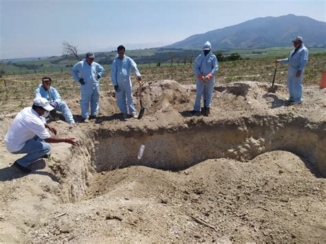 Contin A Identificaci N De Cuerpos Encontrados En Fosas Est N