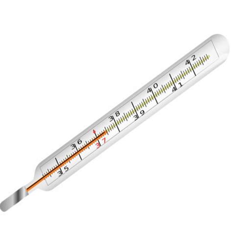 Clinical Mercury Thermometer At Rs 105 Piece Clinical Mercury