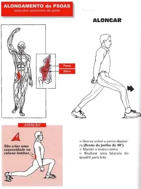 A importância do músculo iliopsoas para sua coluna e joelhos Perto de