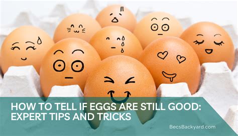 How To Tell If Eggs Are Still Good Expert Tips And Tricks