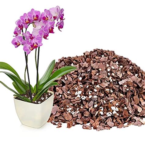 Compare Price: potting soil for orchids - on StatementsLtd.com