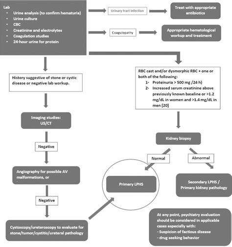 Loin Pain Hematuria Syndrome PMC