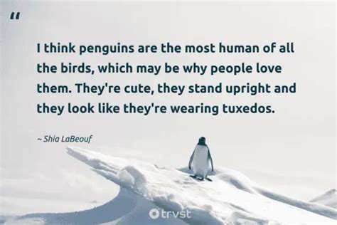 27 Penguin Quotes about the Monogamous Waddling Bird