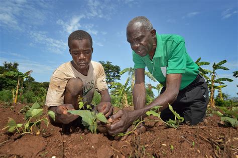 South Sudan Agriculture - Friends in Solidarity