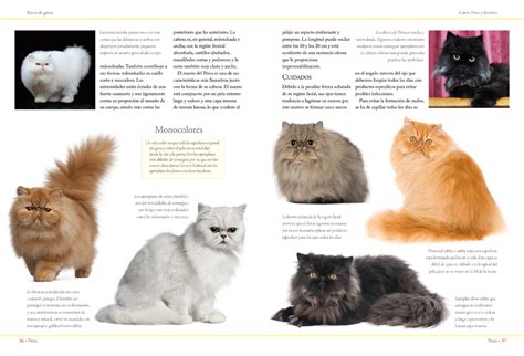 Guia Definitiva De Razas De Gatos Libsa