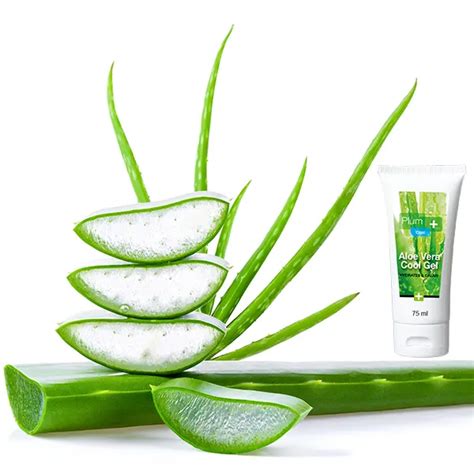 Aloe Vera Cool Gel Pour Piq Res Et Br Lures