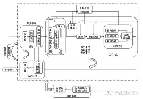 科学网—心理学与生物学的统一性：因果律的种类？ 高闯的博文