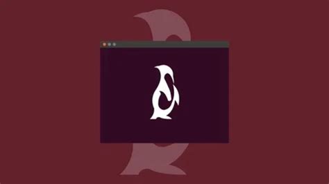 Udemy Gratis Curso de conceptos básicos de Linux para principiantes