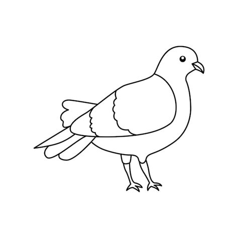 Premium Vector | Continuous One Line art pigeon simple bird