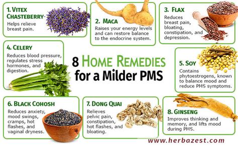 8 Home Remedies for a Milder PMS | herbazest.com