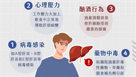 他失業「借酒澆愁」喝到肝臟冒大顆泡泡！ 醫示警：「4大傷肝行為」嚴重恐奪命｜四季線上4gtv