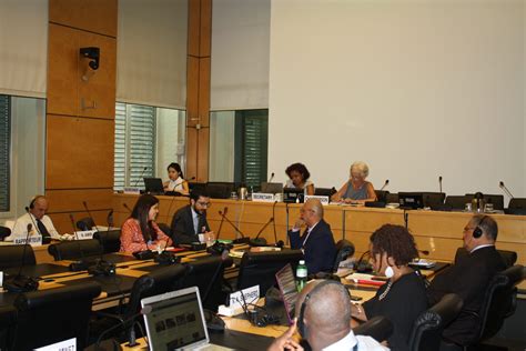 Race And Equality Presents Cerd Report To Committee In Geneva Race And