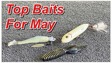 Top 5 Baits You Need For May Bass Fishing Bass Manager The Best