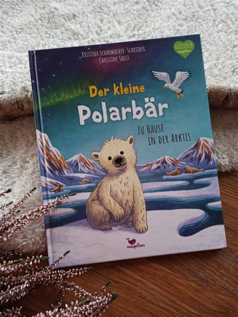 Der kleine Polarbär zuhause in der Arktis Buchkinderblog