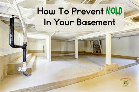 How To Protect Basement From Mold Openbasement