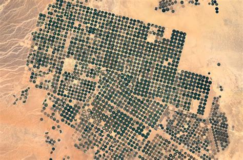 Answer: How many center-pivot irrigation systems do you see? – FIA