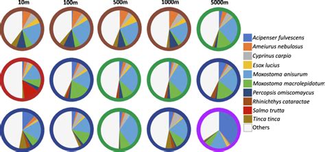 Pie Charts Representing In Situ Relative Abundance Of The 10 Species