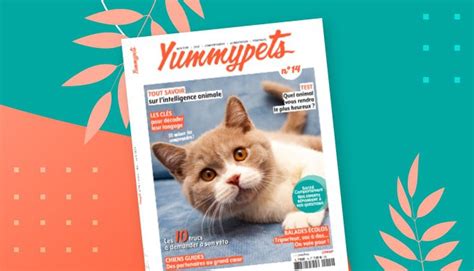 Le Magazine Yummypets Numéro 14 Est En Kiosque Yummypets