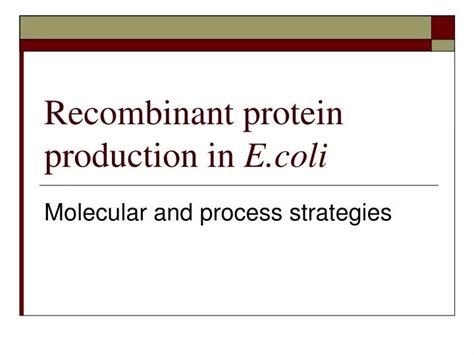 Ppt Recombinant Protein Production In Li Powerpoint Presentation