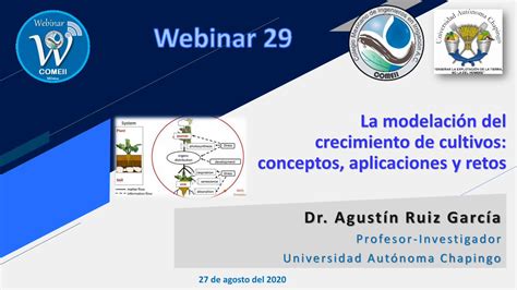 Pdf La Modelaci N Del Crecimiento De Cultivos Conceptos