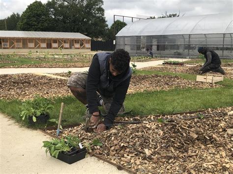 En Images La Roche Sur Yon Le Visage Final Du Potager