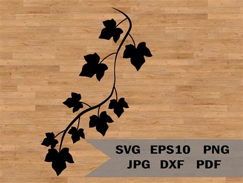 Ivy Branch Svg Ivy Digital Download Ivy Leaf Leaf Etsy