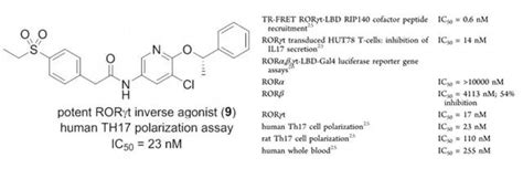 新型 RORγt 小分子反向激动剂 MedChemExpress 实验技术 实验技术 来宝网