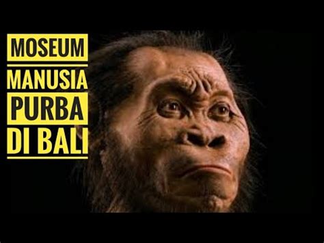 MUSEUM MANUSIA PURBA GILIMANUK JEMBRANA BALI IQ8 CHANNEL YouTube