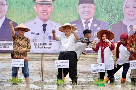 Pj Bupati Kampar Tanam Perdana Padi Inovasi IPAD BO Intensifikasi Padi