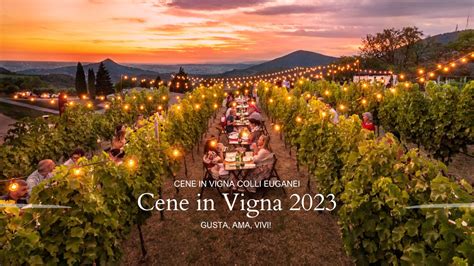 Cene In Vigna 2023 Lungo La Strada Del Vino Colli Euganei