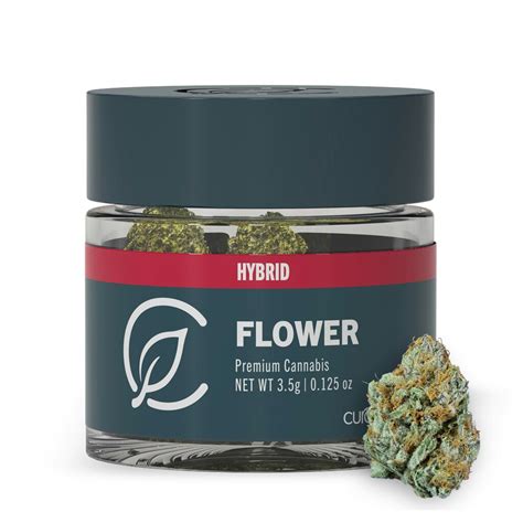 Buy Mimosa Kush Mints Whole Flower Online Curaleaf Boca Raton West