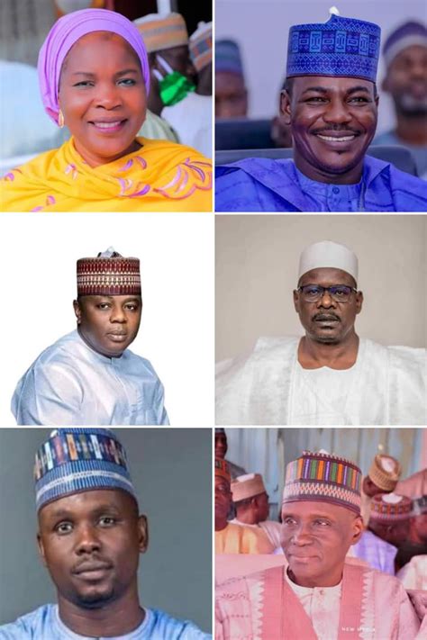 Confirmed Apc Sweeps All Senatorial Seats Nine Of Ten Reps In Borno