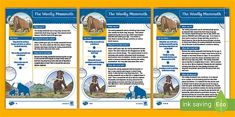 All About The Woolly Mammoth Fact File Teacher Made